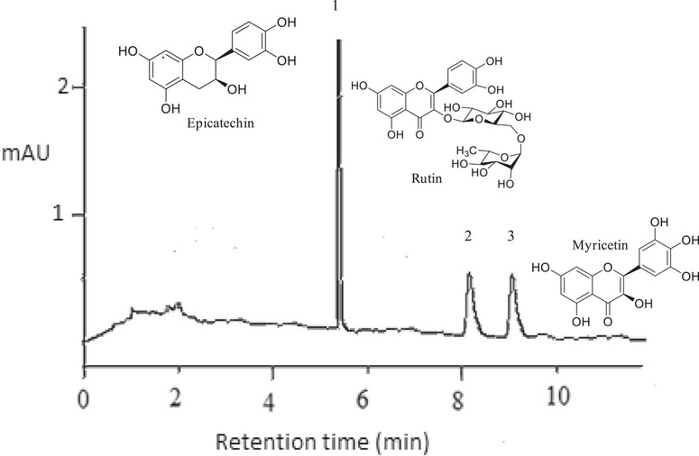 PMC12629157 – cbdv70224-fig-0004