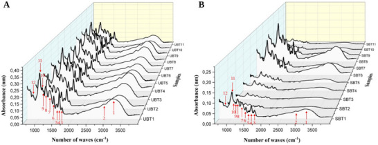 PMC12629157 – cbdv70224-fig-0003