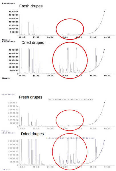 PMC12629160 – cbdv70197-fig-0007
