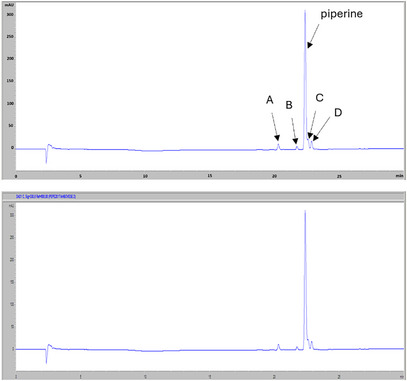 PMC12629160 – cbdv70197-fig-0003