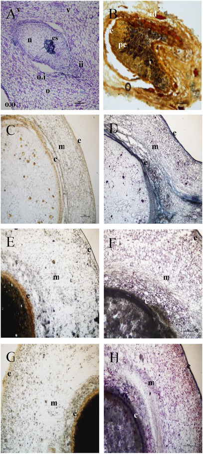 PMC12629160 – cbdv70197-fig-0001