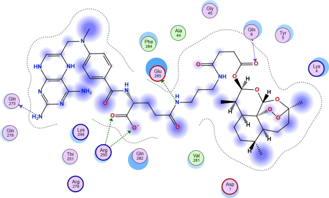 PMC11741164 – cbdv202400373-fig-0004