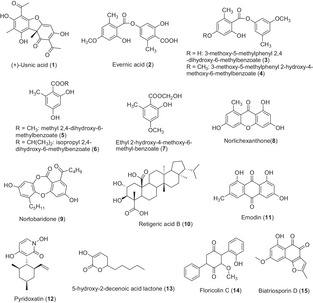 PMC12004889 – cbdv202401557-fig-0002