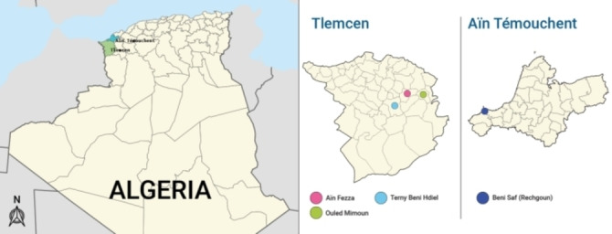 PMC11826294 – cbdv202401584-fig-0001
