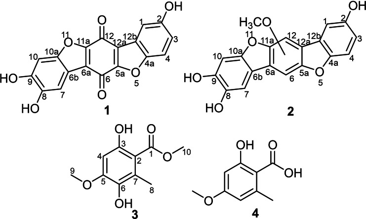 PMC11741153 – cbdv202401597-fig-0001
