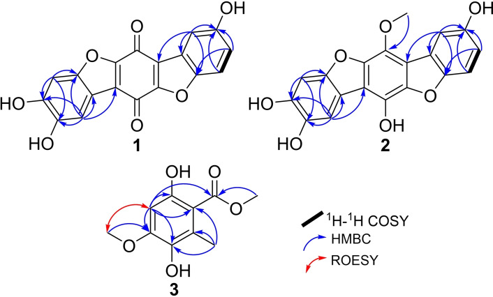 PMC11741153 – cbdv202401597-fig-0002