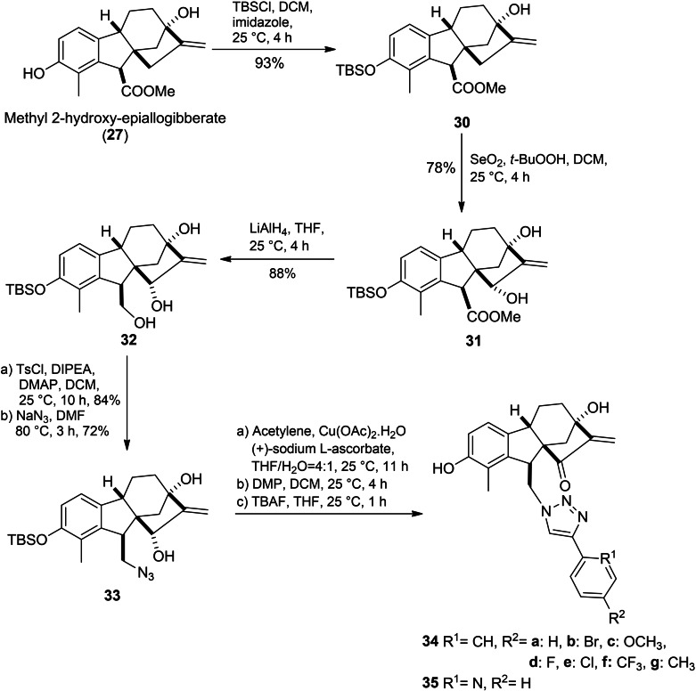 PMC11741152 – cbdv202401823-fig-5007