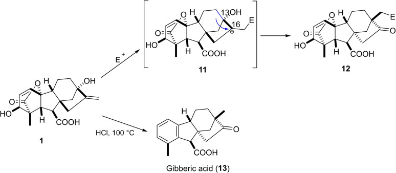 PMC11741152 – cbdv202401823-fig-5002