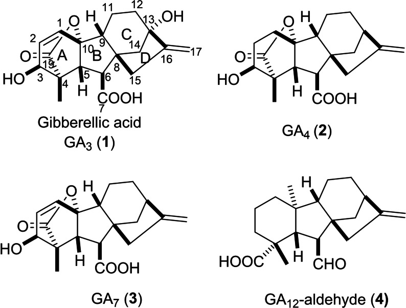 PMC11741152 – cbdv202401823-fig-0001