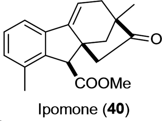 PMC11741152 – cbdv202401823-fig-0003