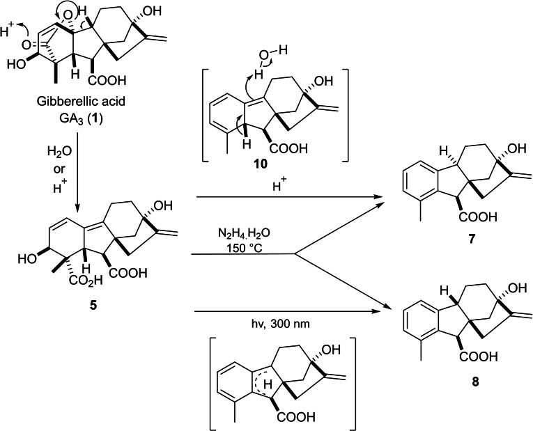 PMC11741152 – cbdv202401823-fig-5001