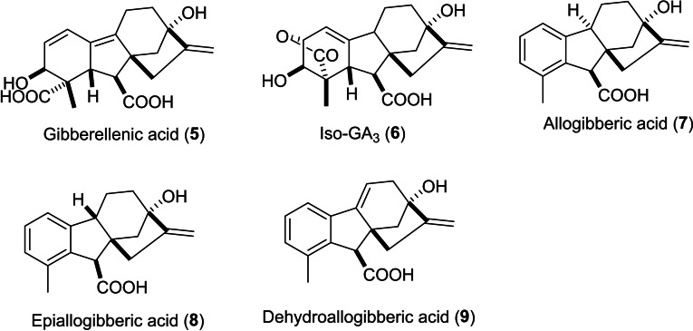 PMC11741152 – cbdv202401823-fig-0002