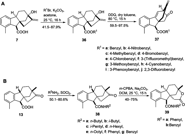 PMC11741152 – cbdv202401823-fig-5008