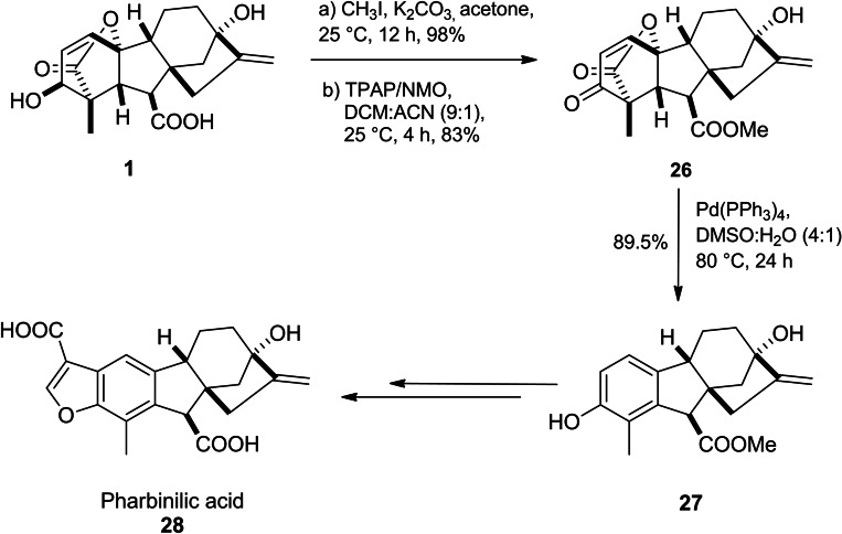 PMC11741152 – cbdv202401823-fig-5005
