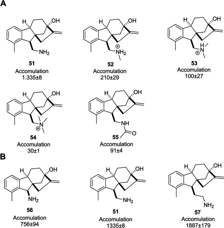 PMC11741152 – cbdv202401823-fig-0006