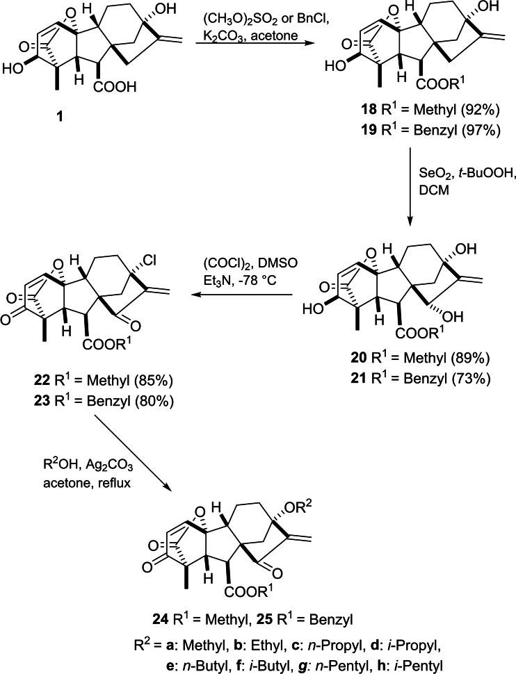 PMC11741152 – cbdv202401823-fig-5004