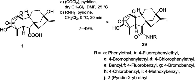 PMC11741152 – cbdv202401823-fig-5006