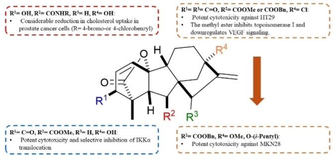 PMC11741152 – cbdv202401823-fig-0004