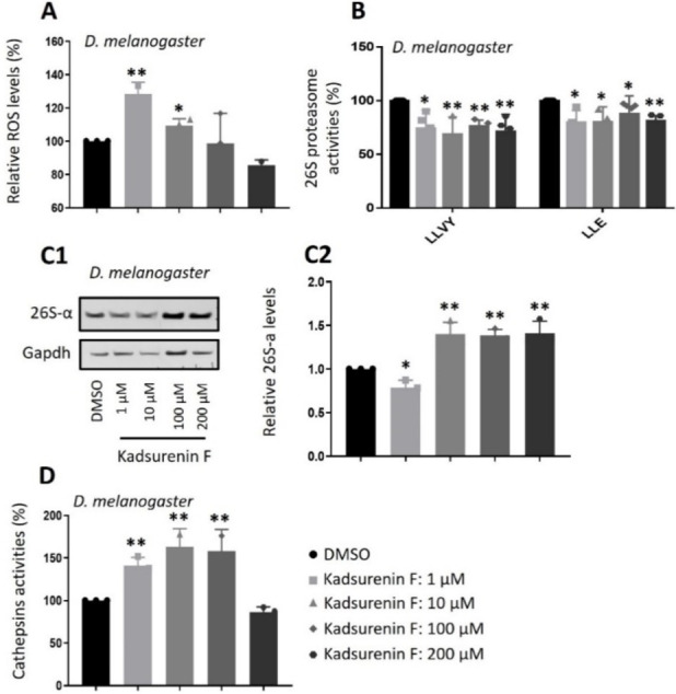 PMC11908775 – cbdv202401848-fig-0003