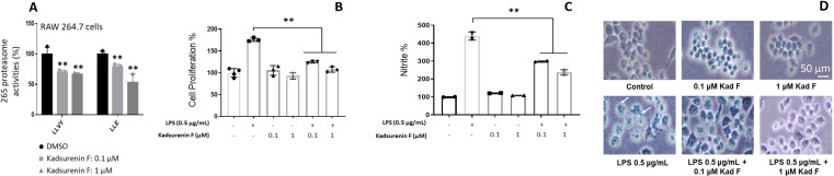PMC11908775 – cbdv202401848-fig-0004