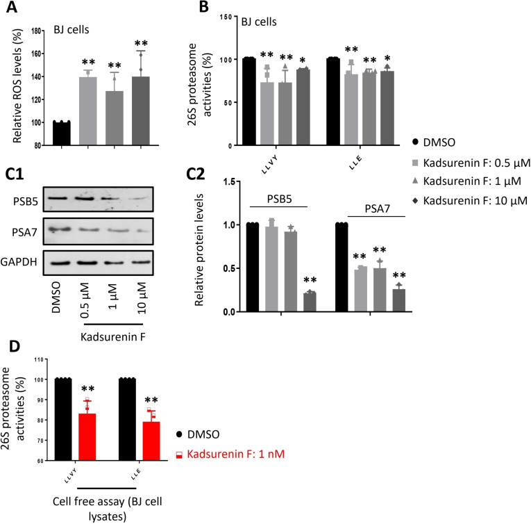 PMC11908775 – cbdv202401848-fig-0002