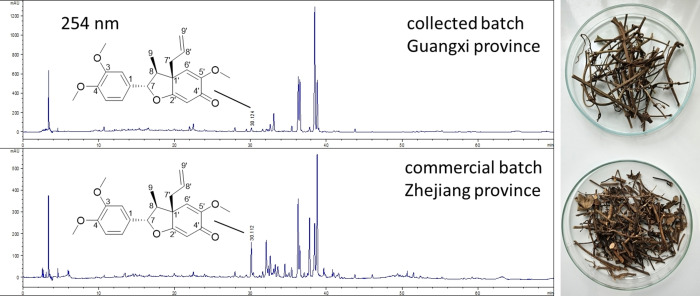 PMC11908775 – cbdv202401848-fig-0001