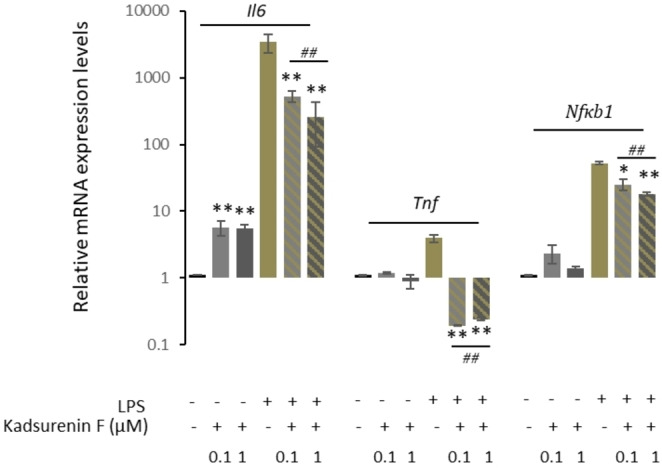 PMC11908775 – cbdv202401848-fig-0005