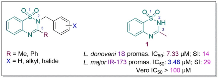 PMC11741150 – cbdv202402059-fig-0001