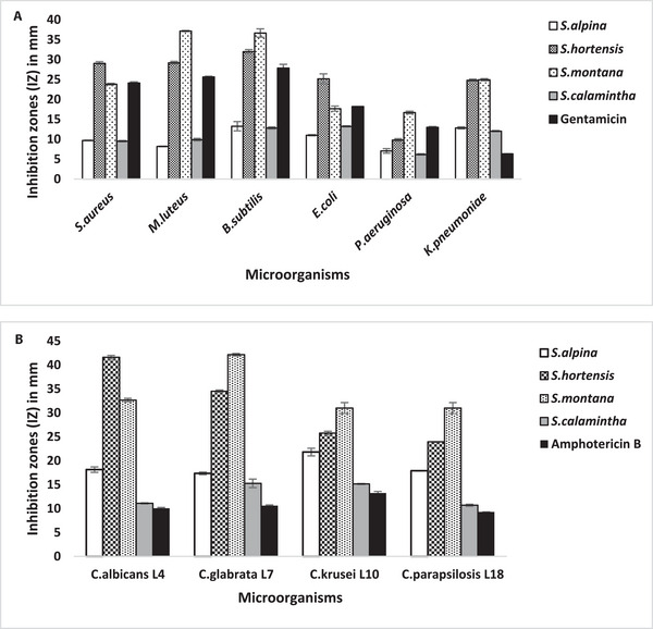 PMC12270359 – cbdv202402093-fig-0002