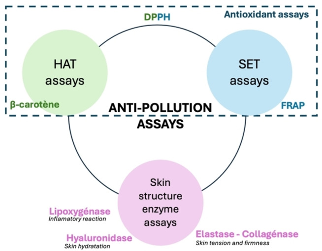 PMC11741155 – cbdv202402139-fig-0001