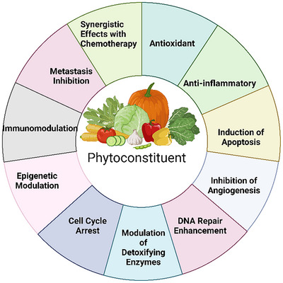 PMC12351433 – cbdv202402479-fig-0001