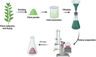 PMC12351433 – cbdv202402479-fig-0002