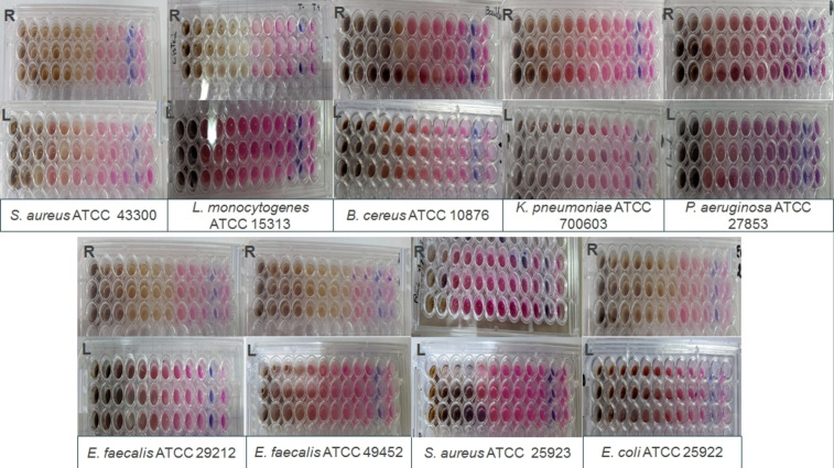 PMC11741163 – cbdv202402662-fig-0002