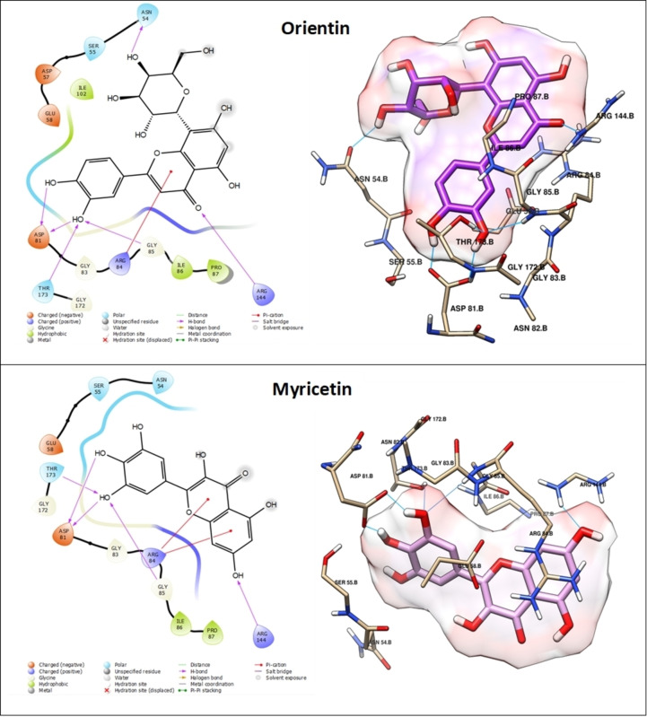 PMC11741163 – cbdv202402662-fig-0008