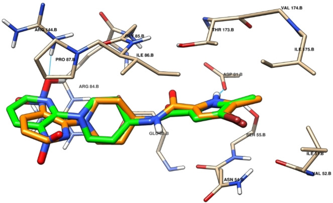 PMC11741163 – cbdv202402662-fig-0007