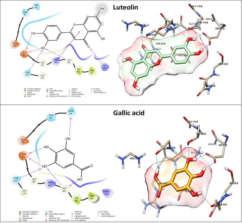 PMC11741163 – cbdv202402662-fig-0009