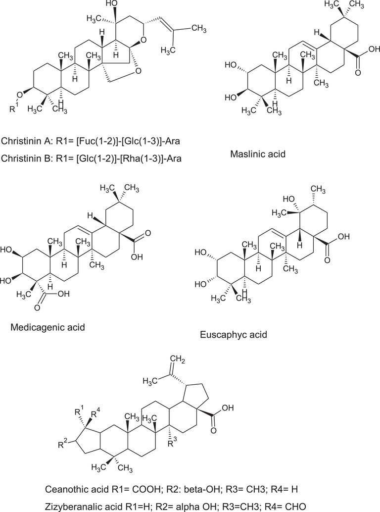 PMC12351441 – cbdv202402835-fig-0007