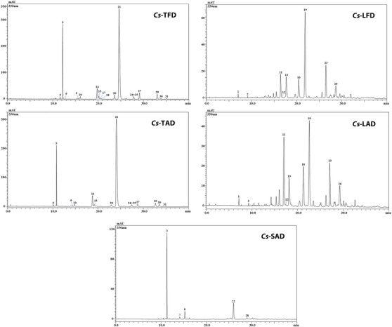 PMC12270362 – cbdv202402967-fig-0001