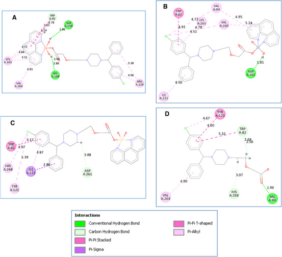 PMC12081029 – cbdv202403003-fig-0004