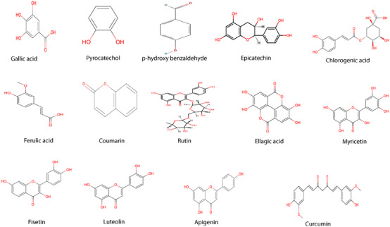 PMC12081026 – cbdv202403064-fig-0003