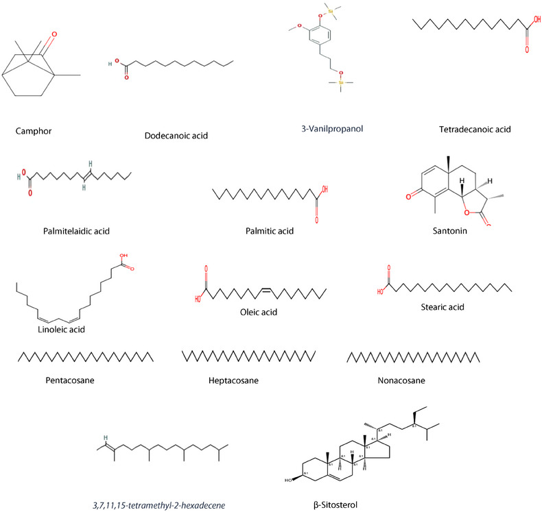 PMC12081026 – cbdv202403064-fig-0001