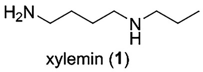 PMC12004904 – cbdv202403213-fig-0001