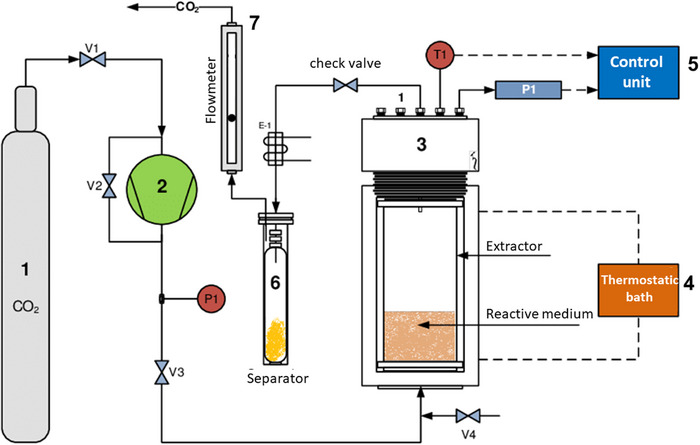 PMC12351439 – cbdv202403225-fig-0005