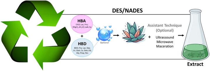 PMC12351439 – cbdv202403225-fig-0007
