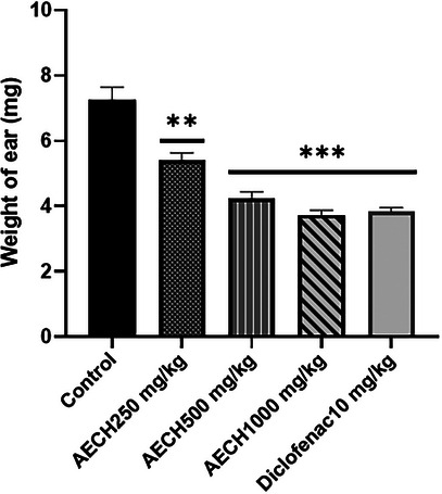 PMC12351438 – cbdv202403241-fig-0001