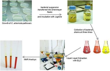 PMC12351422 – cbdv202403299-fig-0006