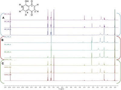 PMC12351422 – cbdv202403299-fig-0001