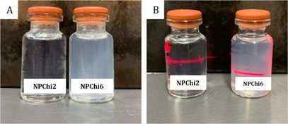 PMC12435402 – cbdv202403341-fig-0001