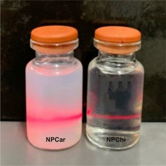 PMC12435402 – cbdv202403341-fig-0002