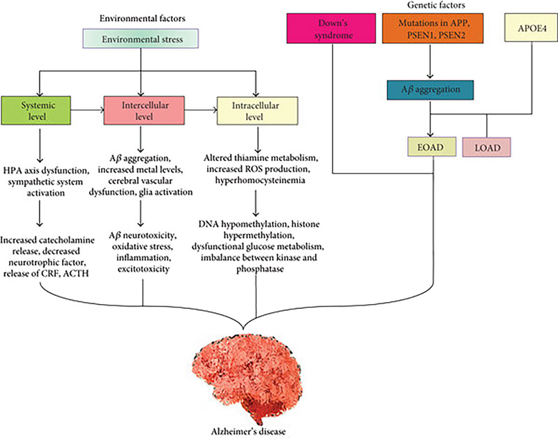 PMC12351446 – cbdv202403401-fig-0001